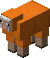 ヒツジ Minecraft Wiki