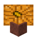 Potted Pumpkin.png