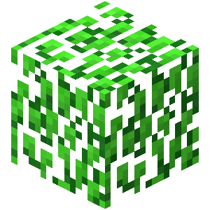 葉 Minecraft Wiki