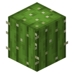 サボテン Minecraft Wiki