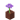 Potted Allium