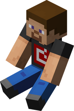 座る Minecraft Wiki