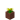 Potted Dandelion