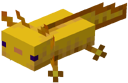 Gold Axolotl
