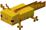 Gold Axolotl