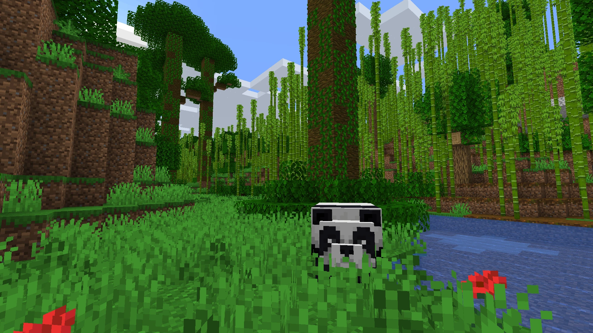 バイオーム Minecraft Wiki