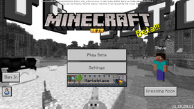 Bedrock 1.18.20.21