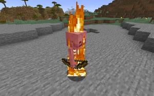 Skeleton burning in sunlight