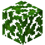 葉 Minecraft Wiki