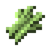 サトウキビ Minecraft Wiki サトウキビ Minecraft Wiki
