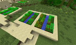 ジャガイモ Minecraft Wiki ジャガイモ Minecraft Wiki