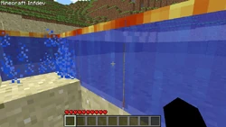 A screenshot showing the water texture bug.