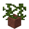 Potted Vines.png
