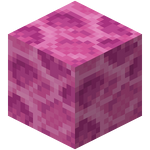 サンゴブロック Minecraft Wiki