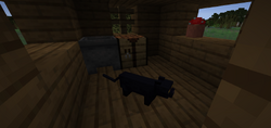 ネコ Minecraft Wiki ネコ Minecraft Wiki