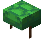 ヘルメット Minecraft Wiki