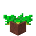 Potted Potatoes.png
