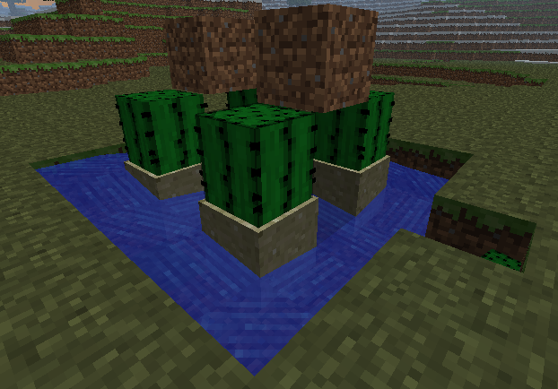 サボテン Minecraft Wiki