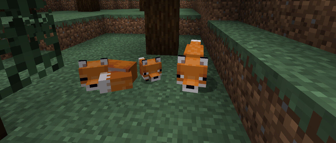 Java Edition 19w07a Minecraft Wiki