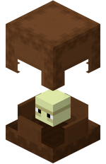 Brown Shulker
