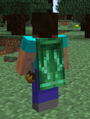 MineconCape2.png