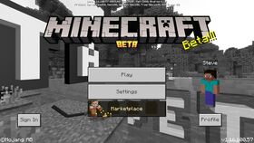 Bedrock 1.16.100.57