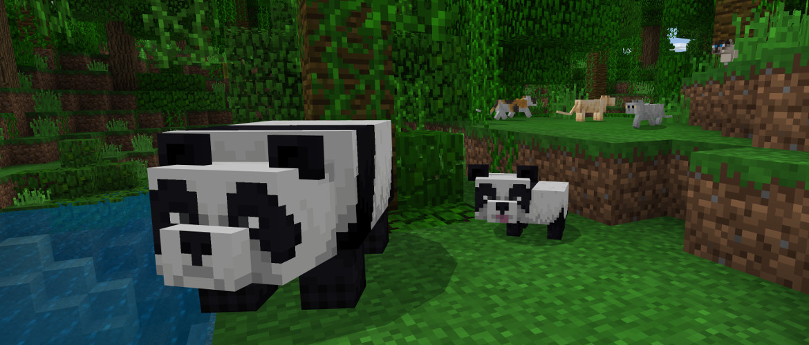 minecraft bedrock minecraft bedrock