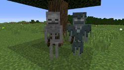 ストレイ Minecraft Wiki ストレイ Minecraft Wiki