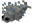 Silverfish (Dungeons)