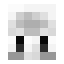 AgentFace