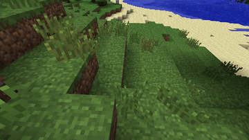 Tall grass in Beta 1.6 Test Build 3.png