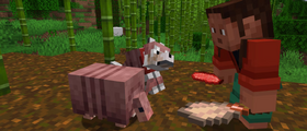 404 Not Found - Minecraft Wiki