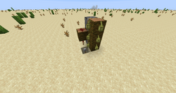 チュートリアル カカオ豆の栽培 Minecraft Wiki