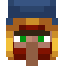 WanderingTraderFace