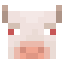 AlbinoCowFace