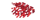 Fire Coral Wall Fan (S) JE1