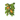 Cave Vines (berries) JE1 BE1