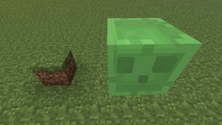 スライム Minecraft Wiki
