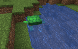 カメ Minecraft Wiki カメ Minecraft Wiki