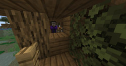 ウィッチ Minecraft Wiki