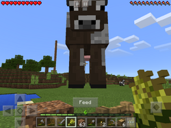 小麦 Minecraft Wiki 小麦 Minecraft Wiki