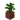 Potted Jungle Sapling