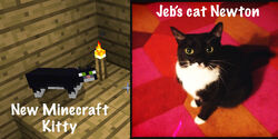 ネコ Minecraft Wiki