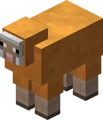 Orange Sheep Revision 1.png