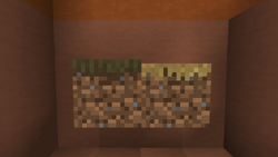 草の道 Minecraft Wiki 草の道 Minecraft Wiki