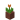 Potted Orange Tulip