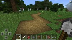 草の道 Minecraft Wiki