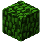 葉 Minecraft Wiki