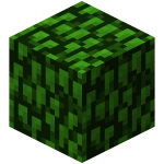 Acacia Leaves (Fast)