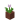 Potted Pink Tulip